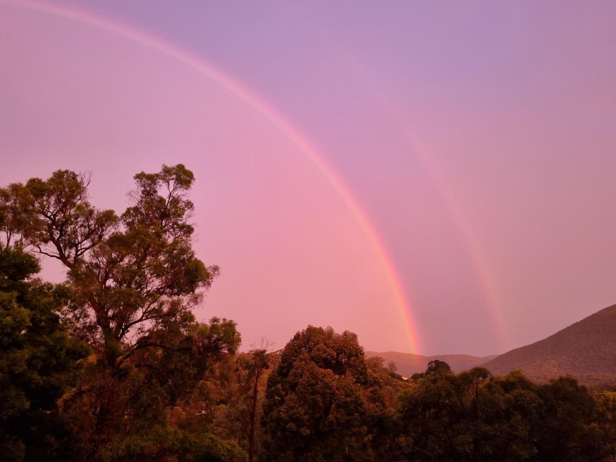 Rosebank Guesthouse Healesville Exterior foto