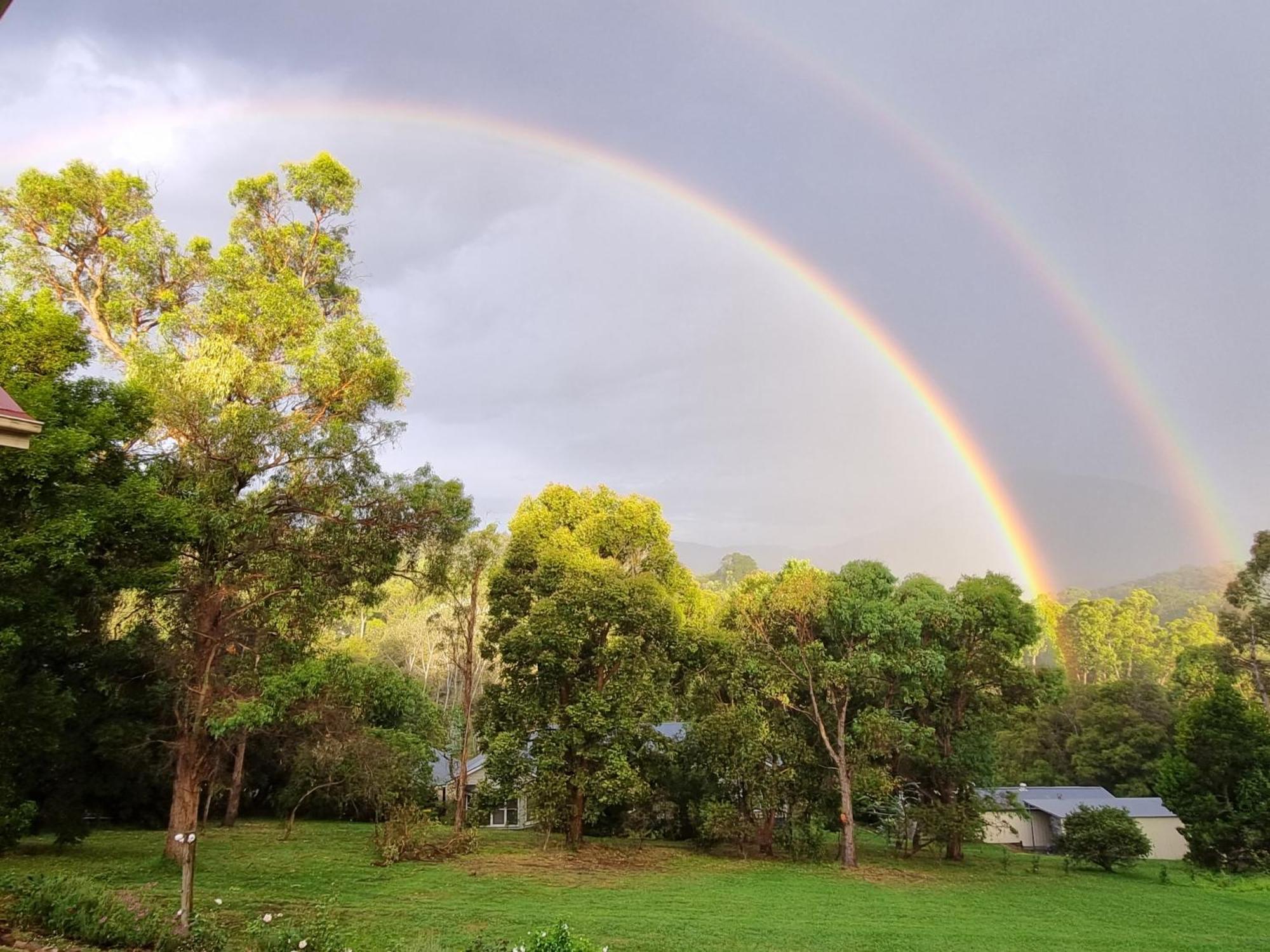 Rosebank Guesthouse Healesville Exterior foto